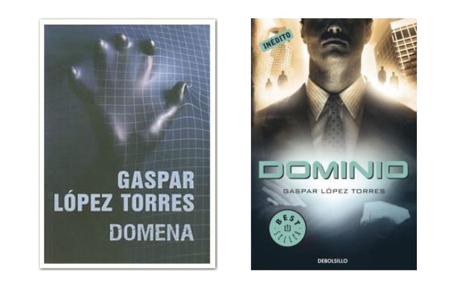 Domain novel covers 